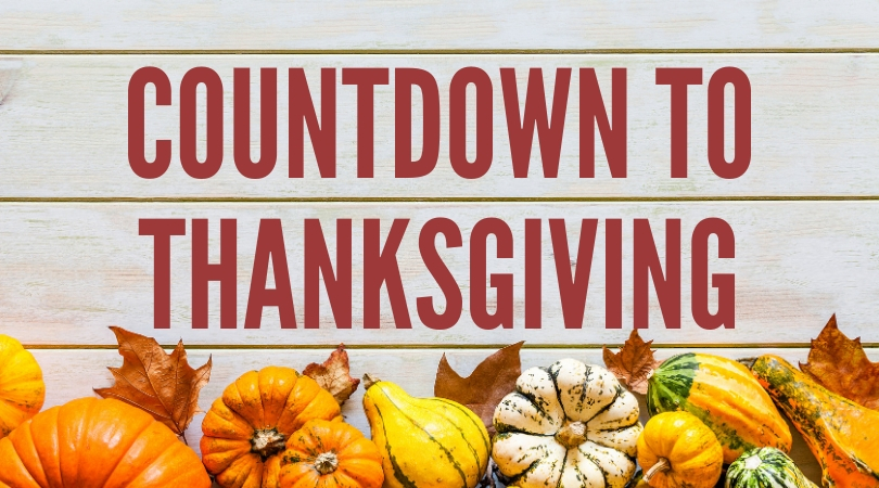 Disneyland thanksgiving review