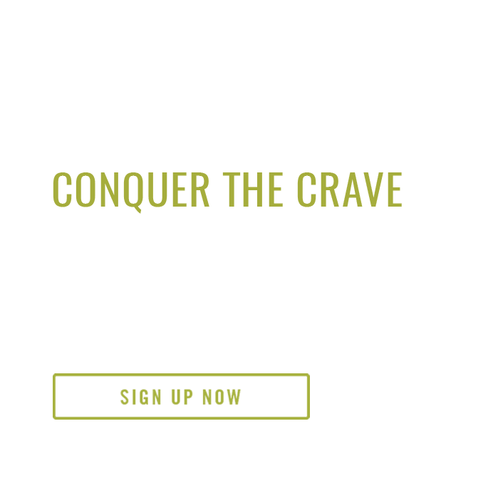 Conquer the Crave Plan Z Diet First we help you conquer the